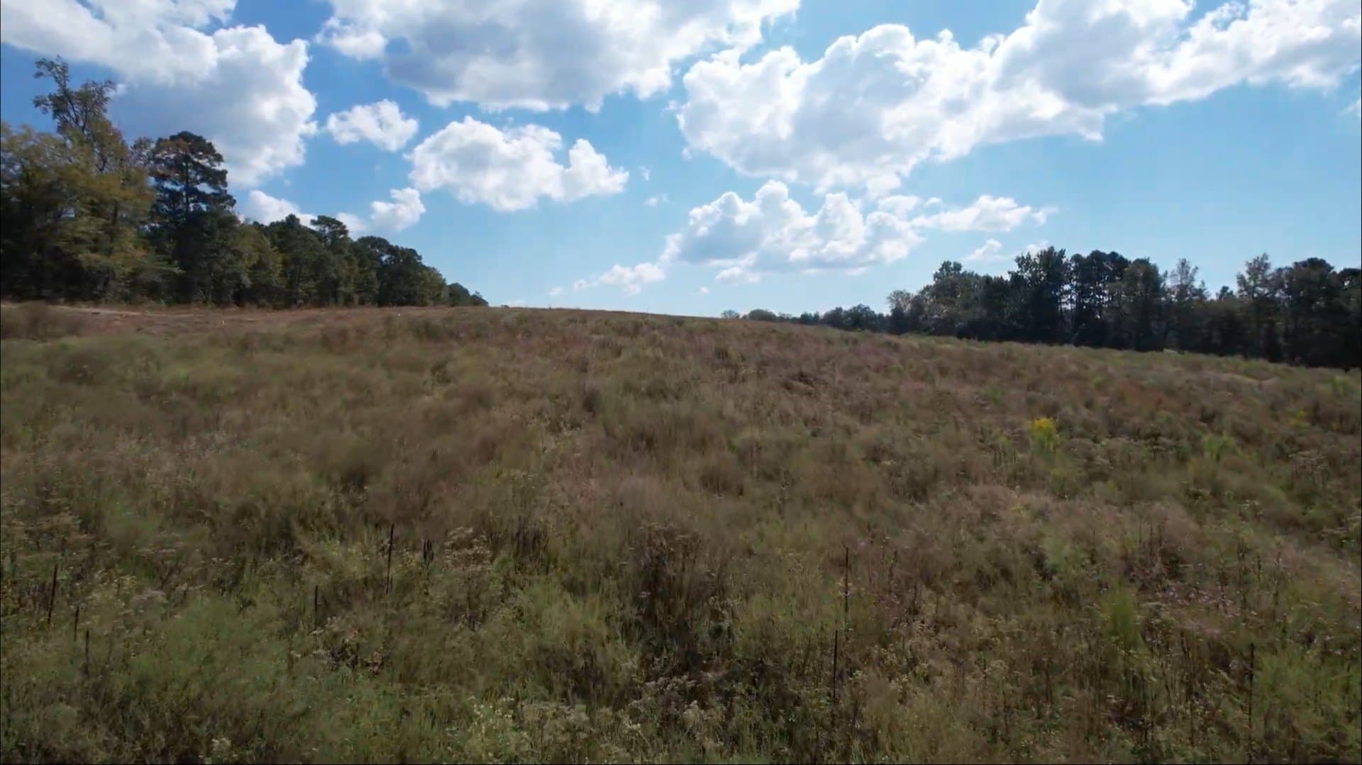 5.47 acres in Rusk County - photo 4