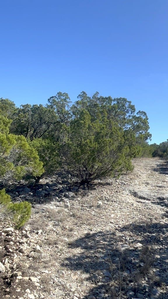 24.01 acres in Real County - photo 15