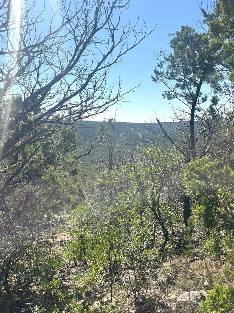 24.01 acres in Real County - photo 24