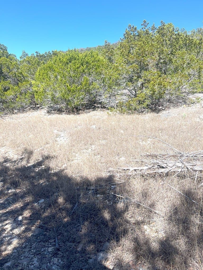 24.01 acres in Real County gallery image 4