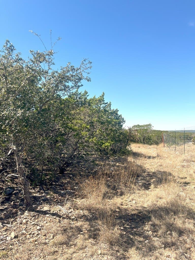 24.01 acres in Real County - photo 17