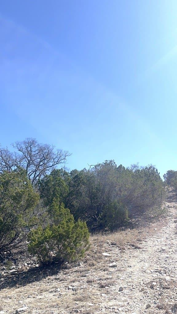 24.01 acres in Real County - photo 9