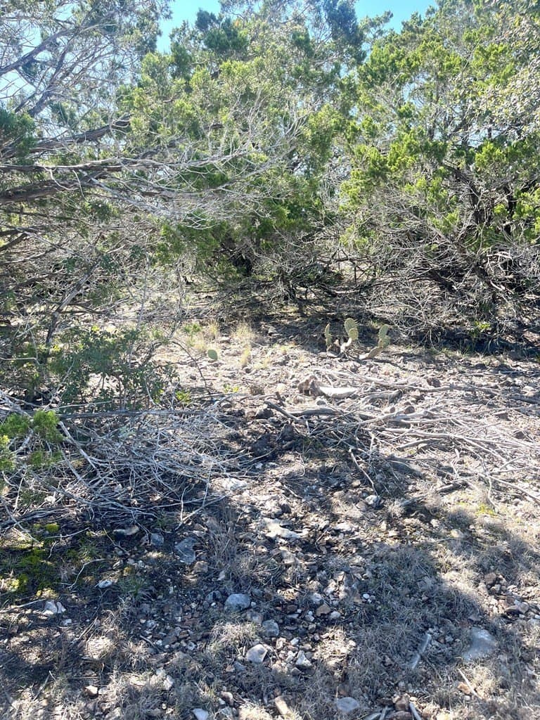 24.01 acres in Real County - photo 16