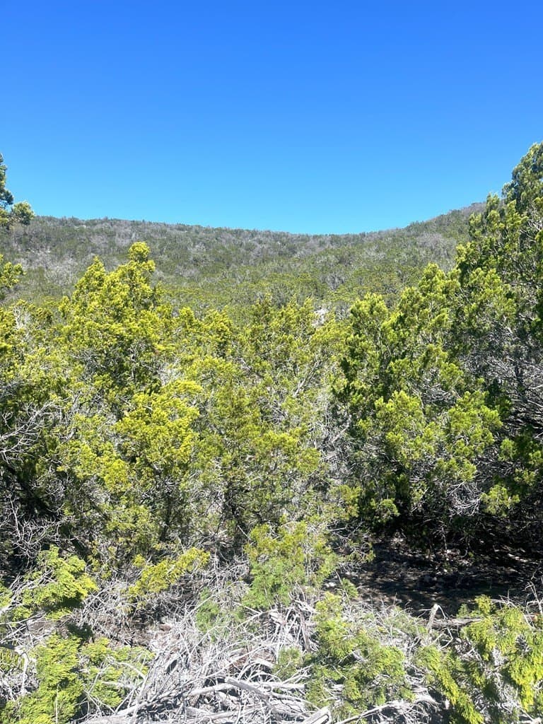 24.01 acres in Real County featured view