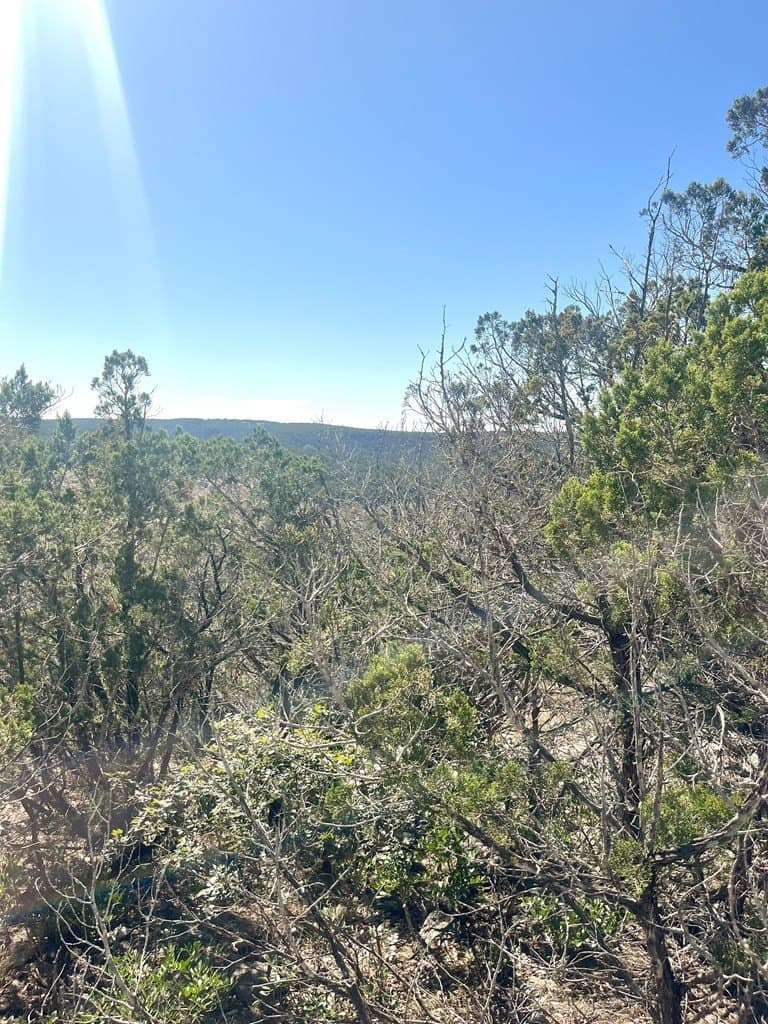 24.01 acres in Real County - photo 22