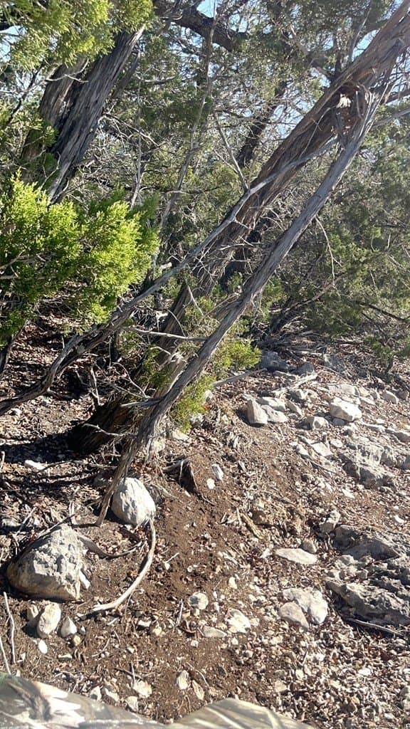 24.01 acres in Real County - photo 12