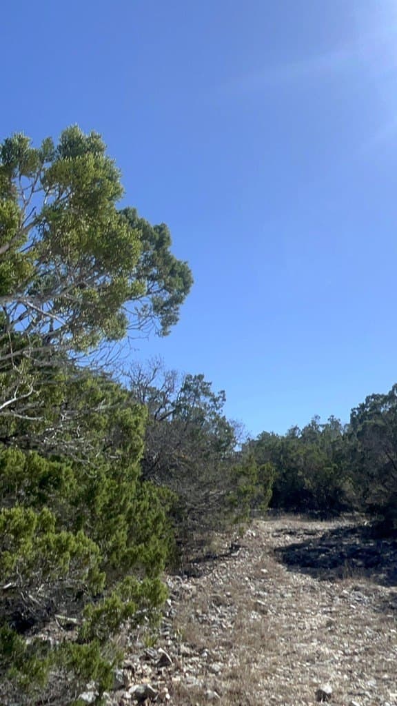 24.01 acres in Real County - photo 14
