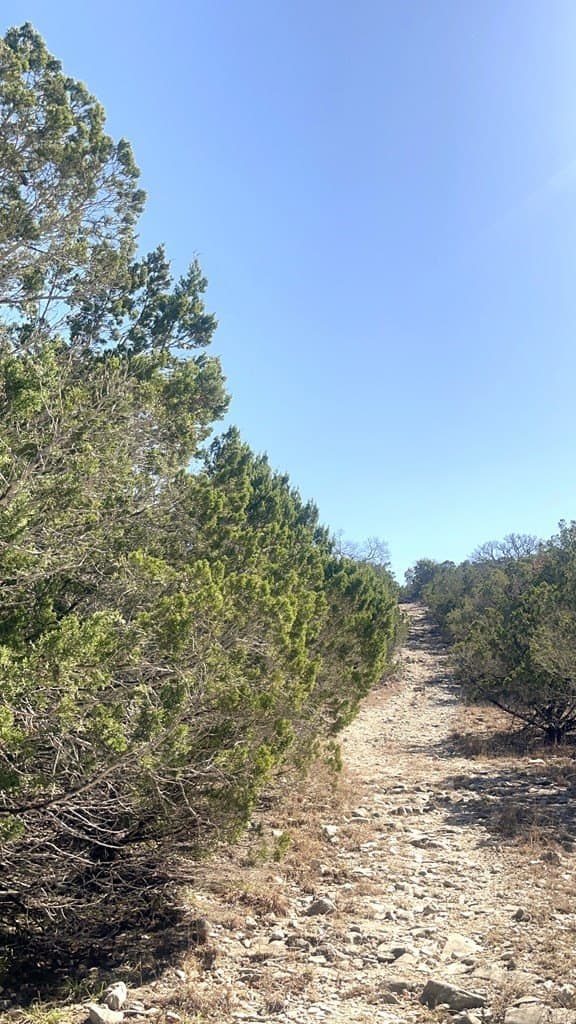 24.01 acres in Real County - photo 8