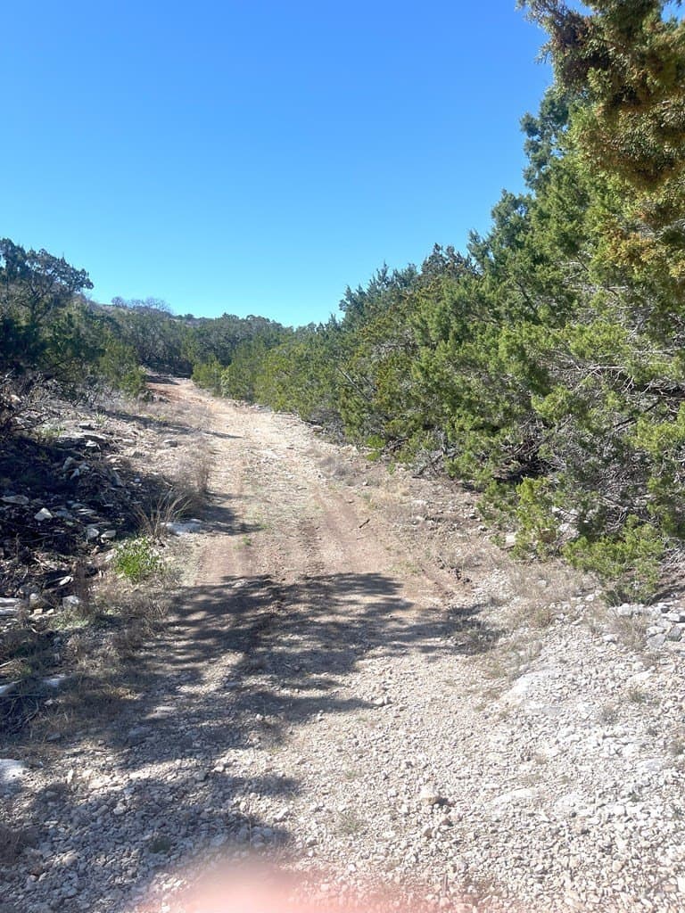 24.01 acres in Real County - photo 7