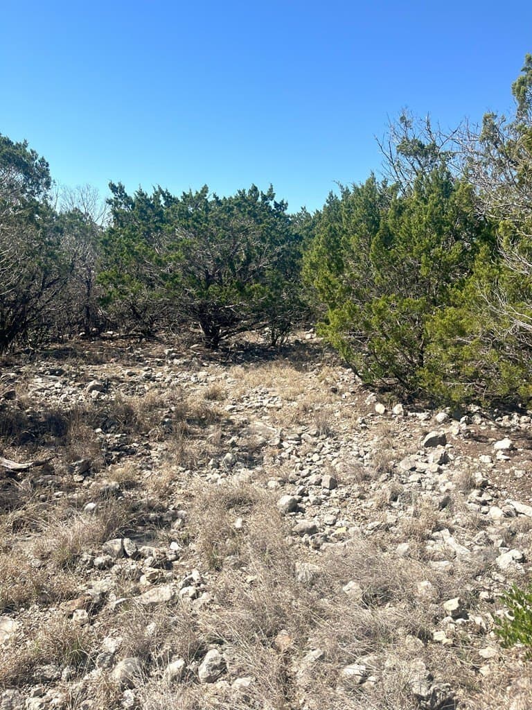 24.01 acres in Real County - photo 21