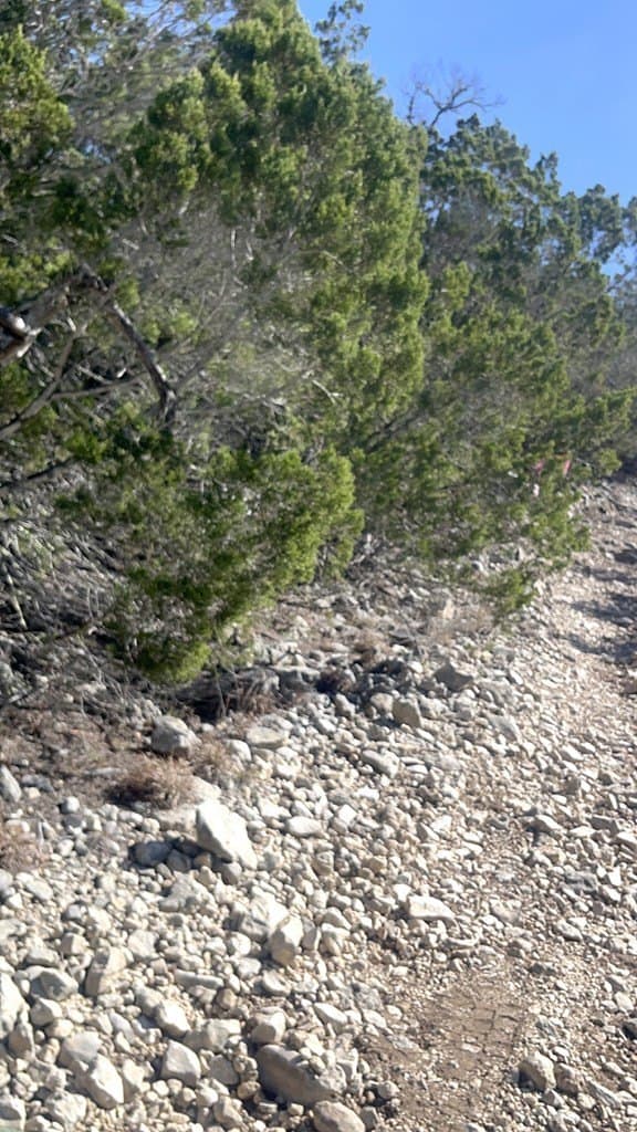 24.01 acres in Real County - photo 10