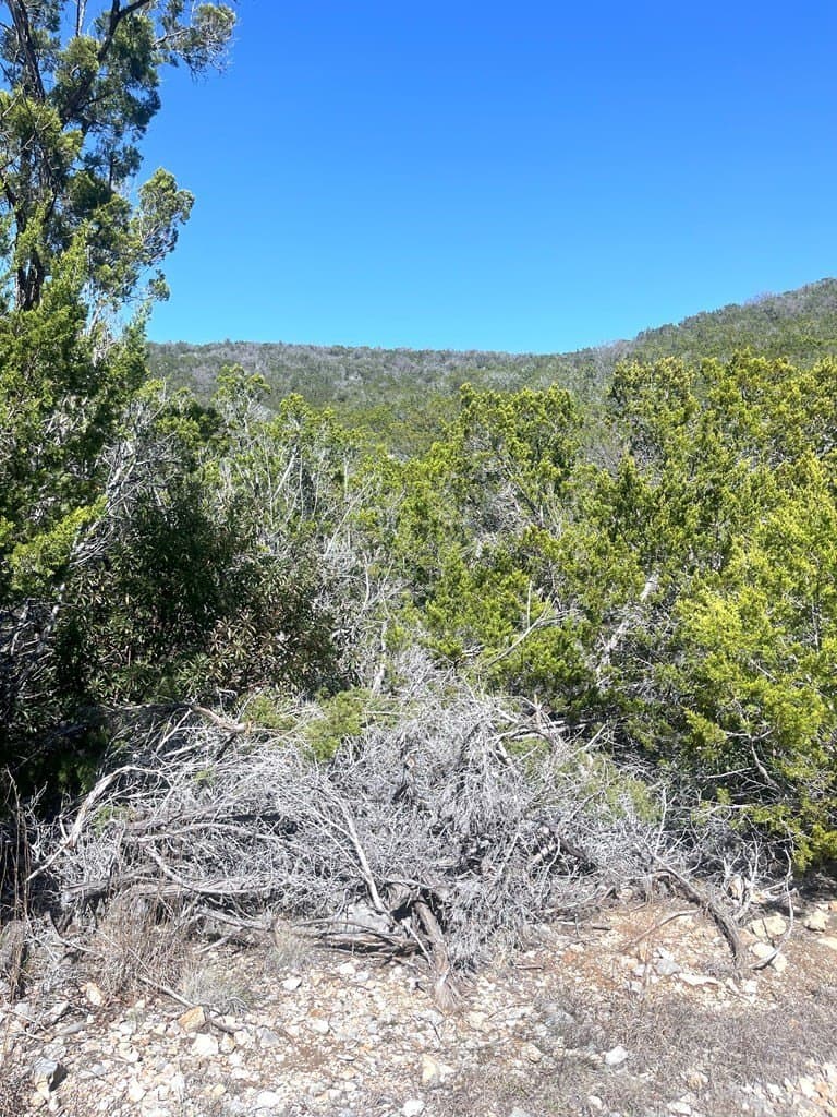 24.01 acres in Real County - photo 6