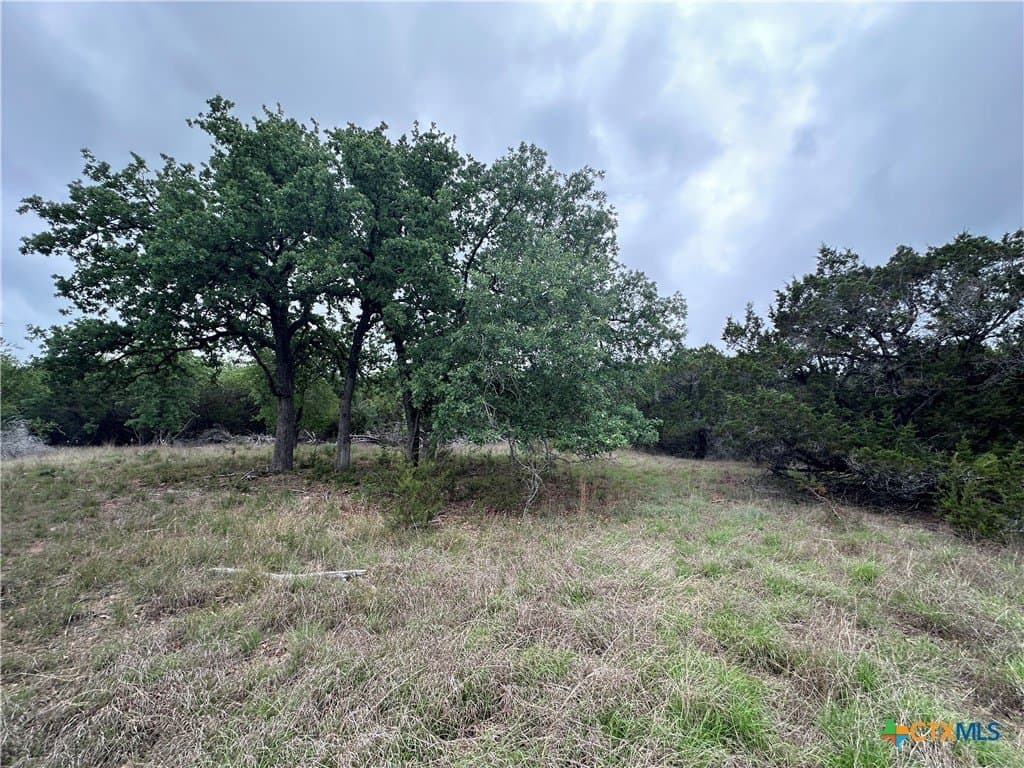 14 acres in Coryell County gallery image 3