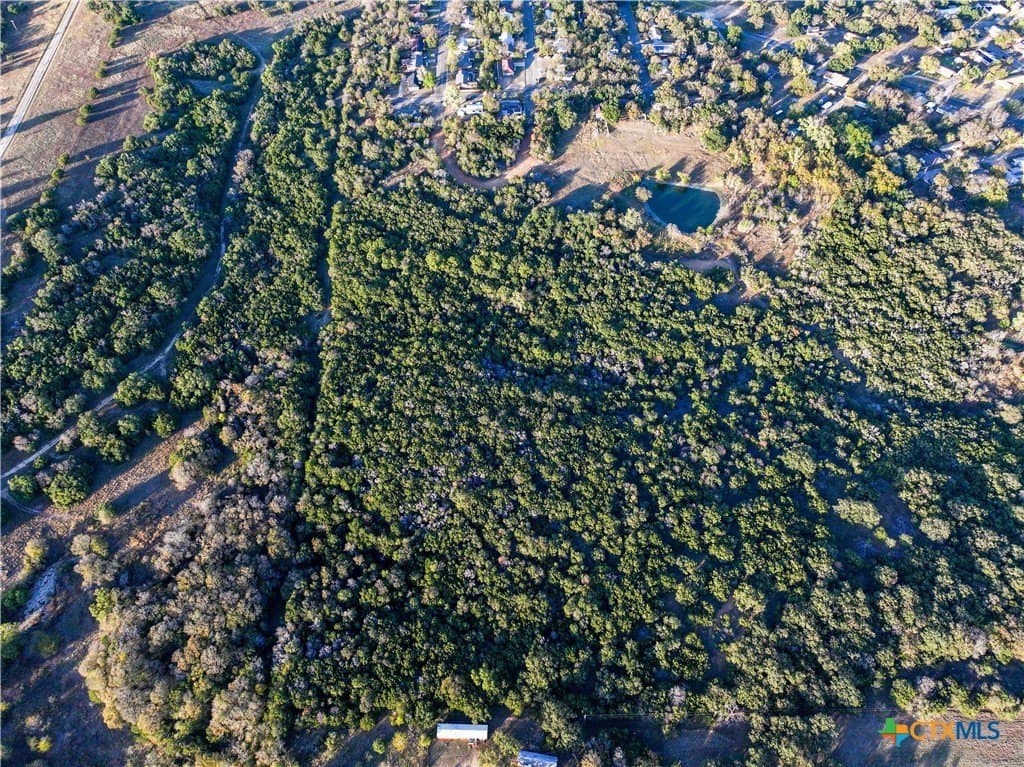 14 acres in Coryell County - photo 14