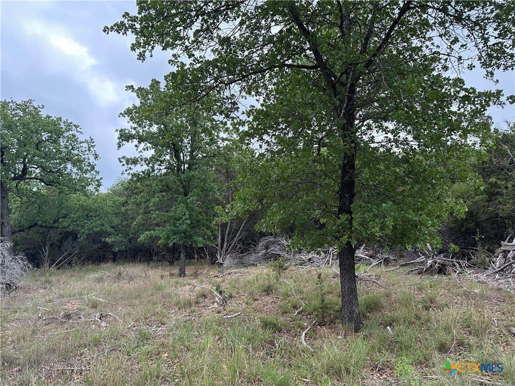 14 acres in Coryell County featured view