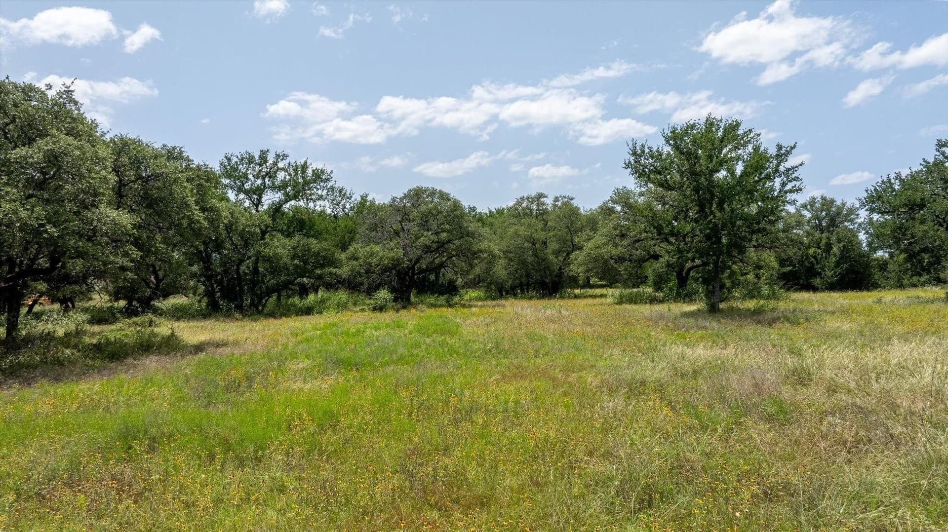 2.92 acres in Somervell County gallery image 4