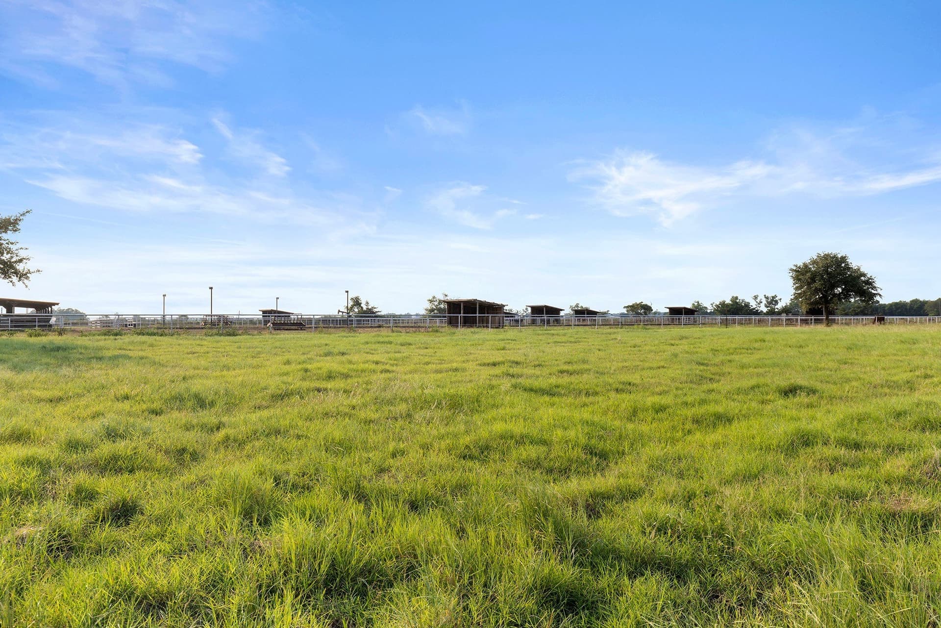 23 acres in Grayson County - photo 24