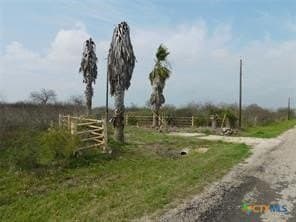 40 acres in Calhoun County gallery image 2