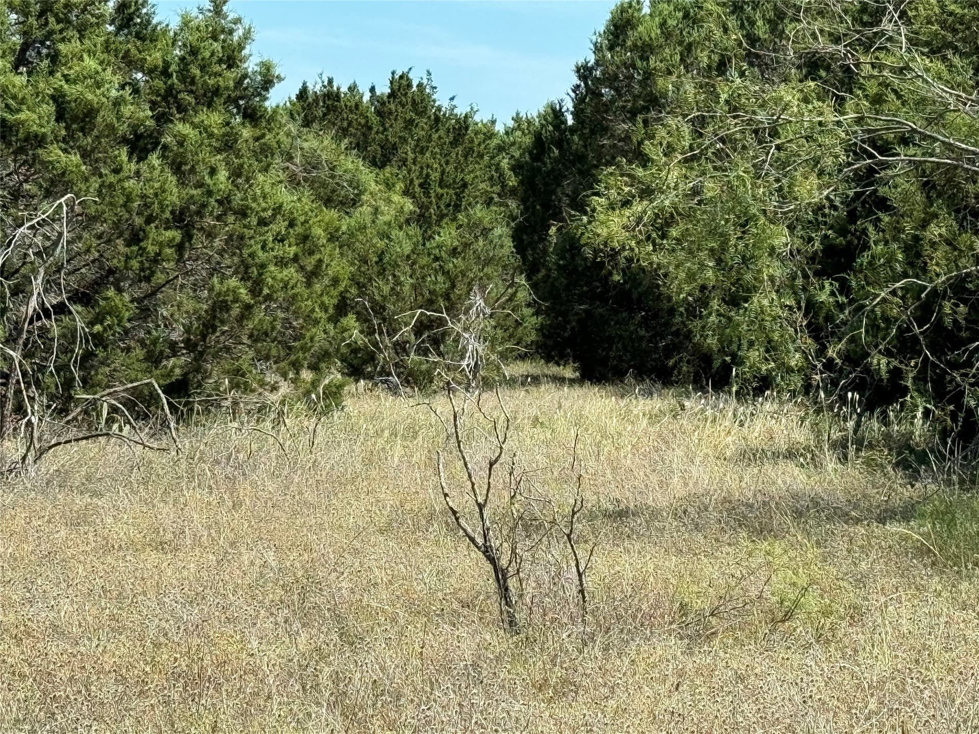 0.28 acres in Hill County featured view