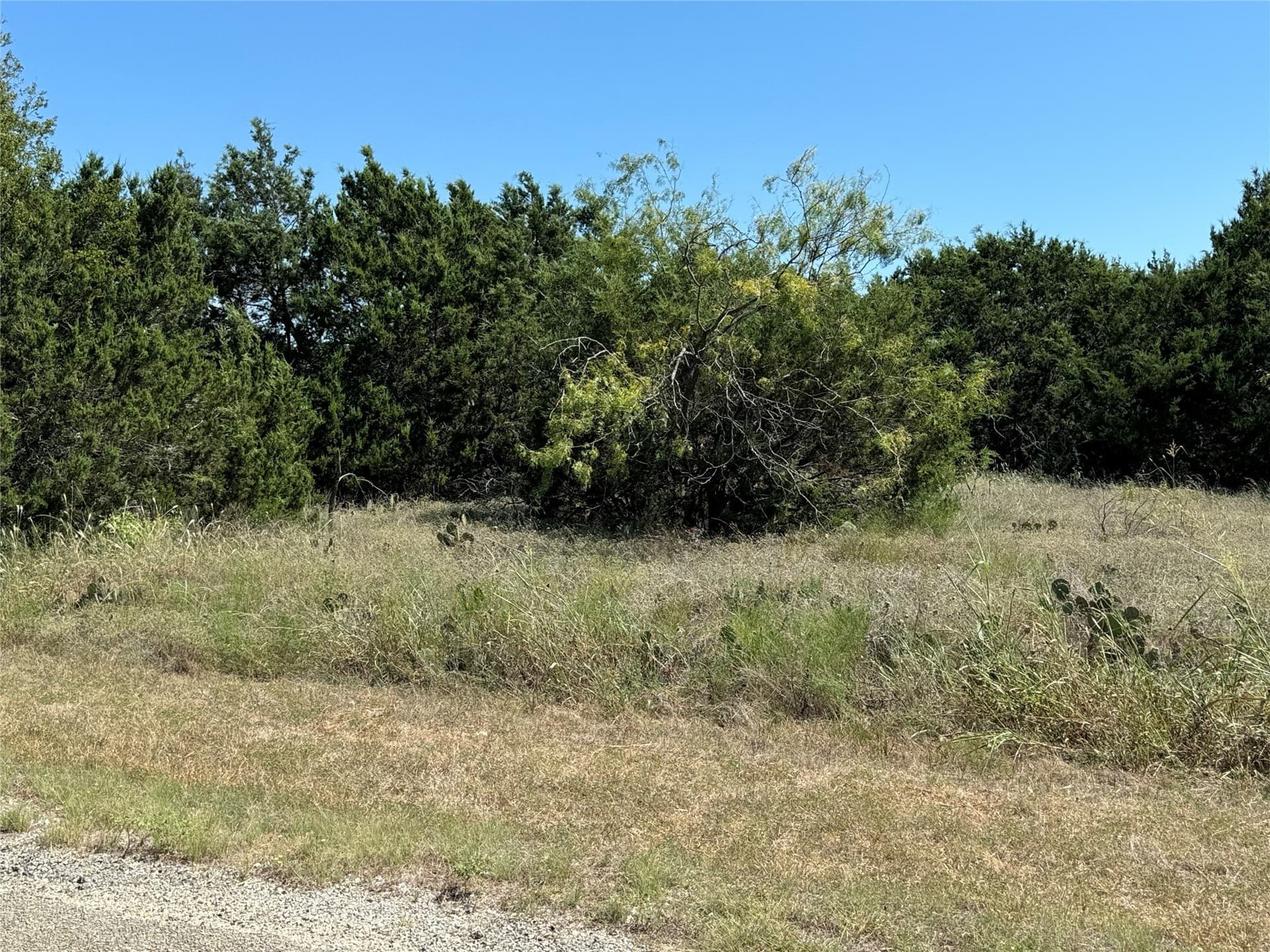 0.28 acres in Hill County - photo 8