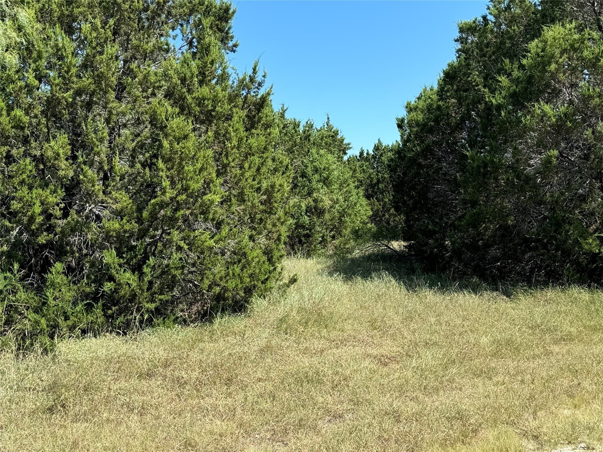 0.28 acres in Hill County gallery image 2