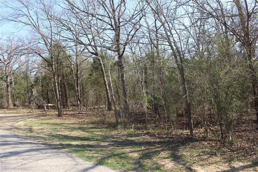 29.66 acres in Henderson County featured view