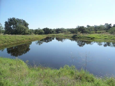 49.68 acres in Llano County gallery image 2