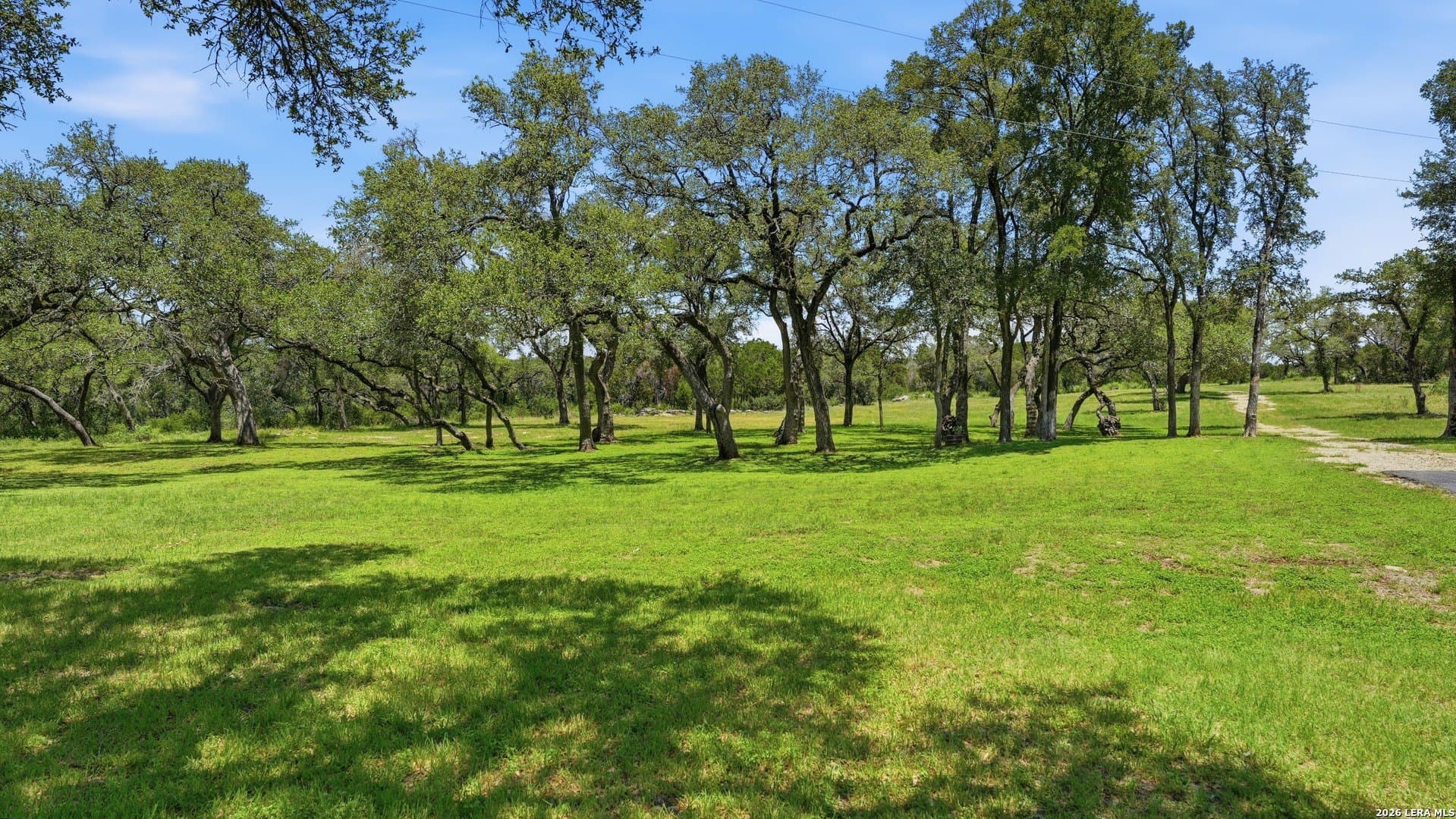 9.99 acres in Comal County - photo 11