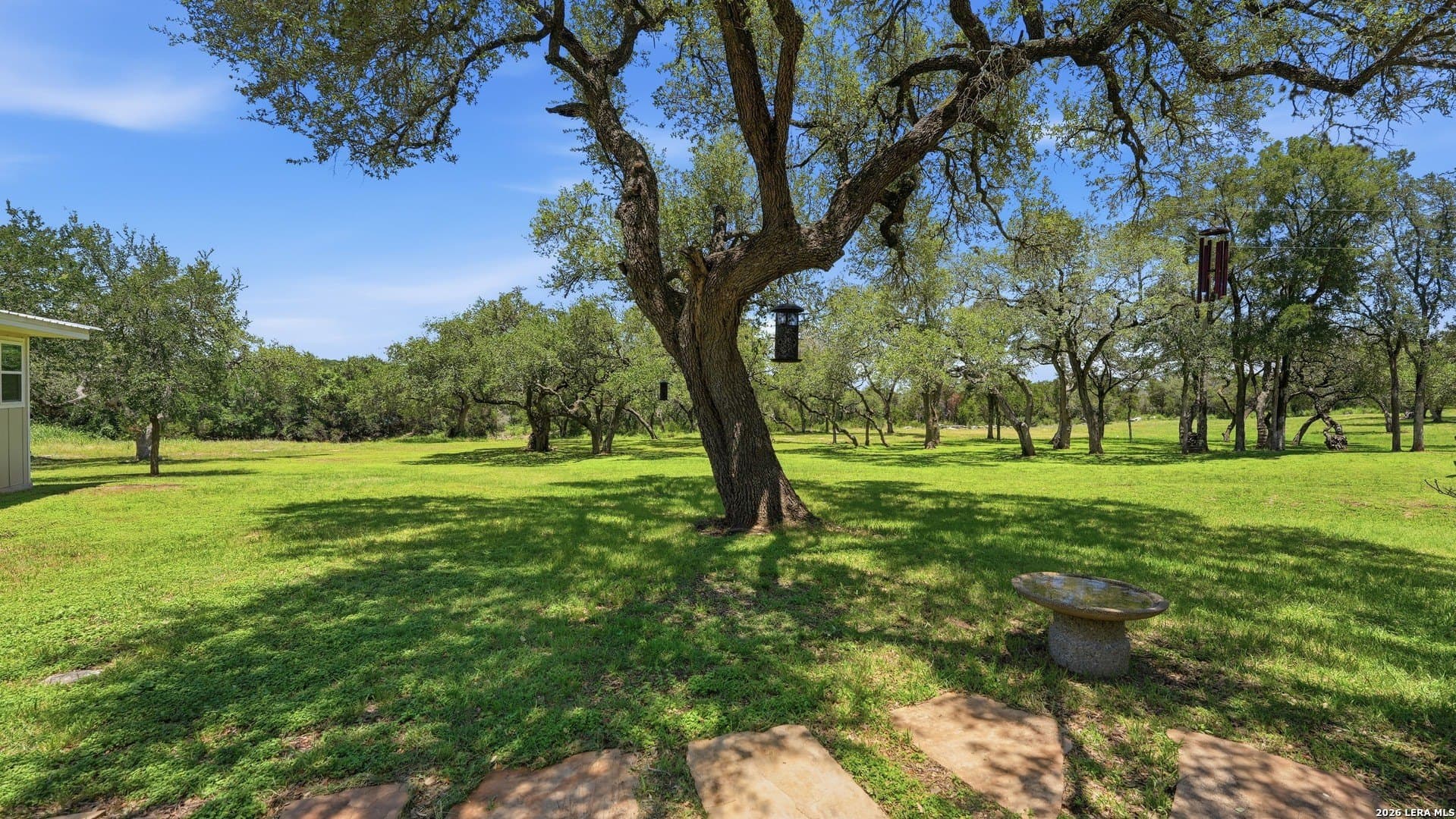 9.99 acres in Comal County - photo 15