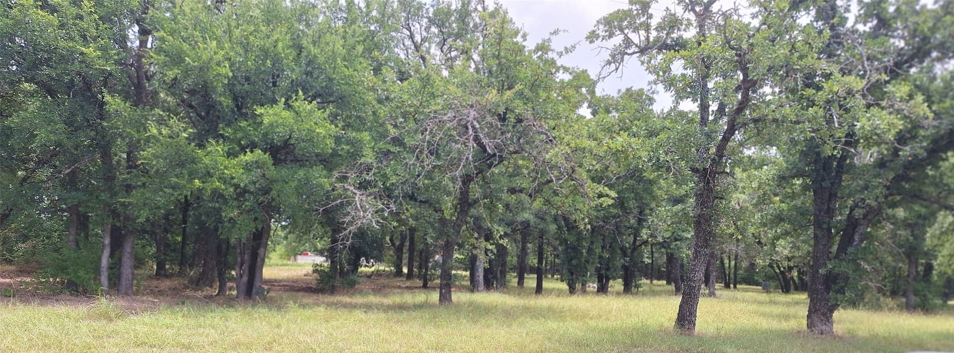2 acres in Eastland County gallery image 2
