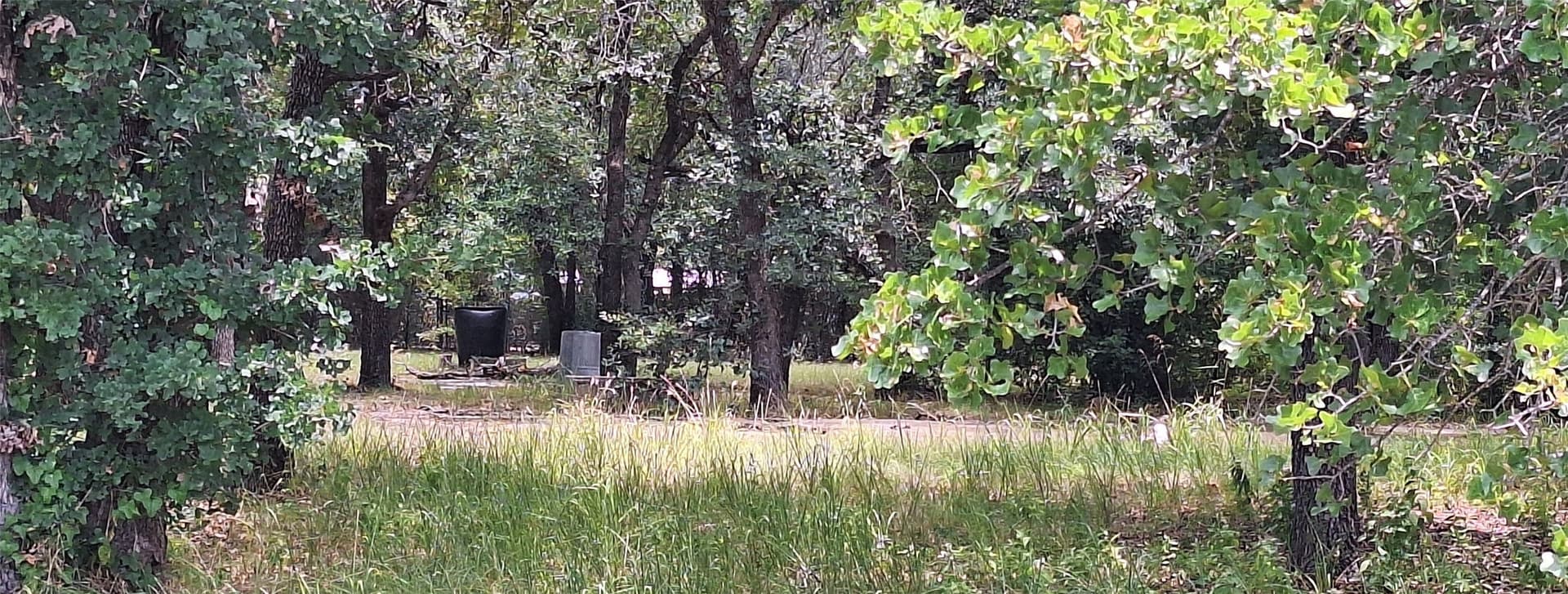 2 acres in Eastland County gallery image 3
