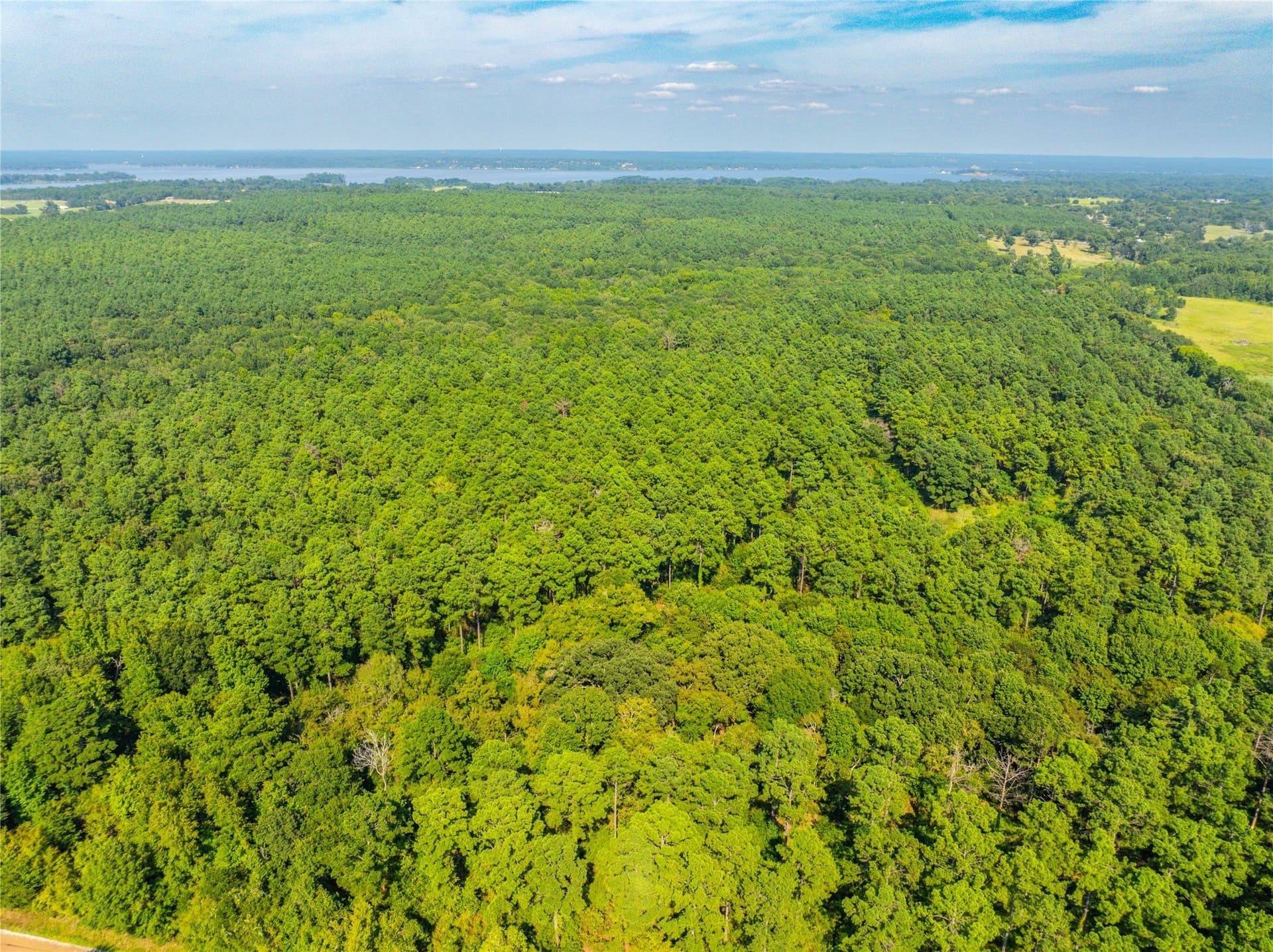 94.5 acres in Henderson County - photo 27