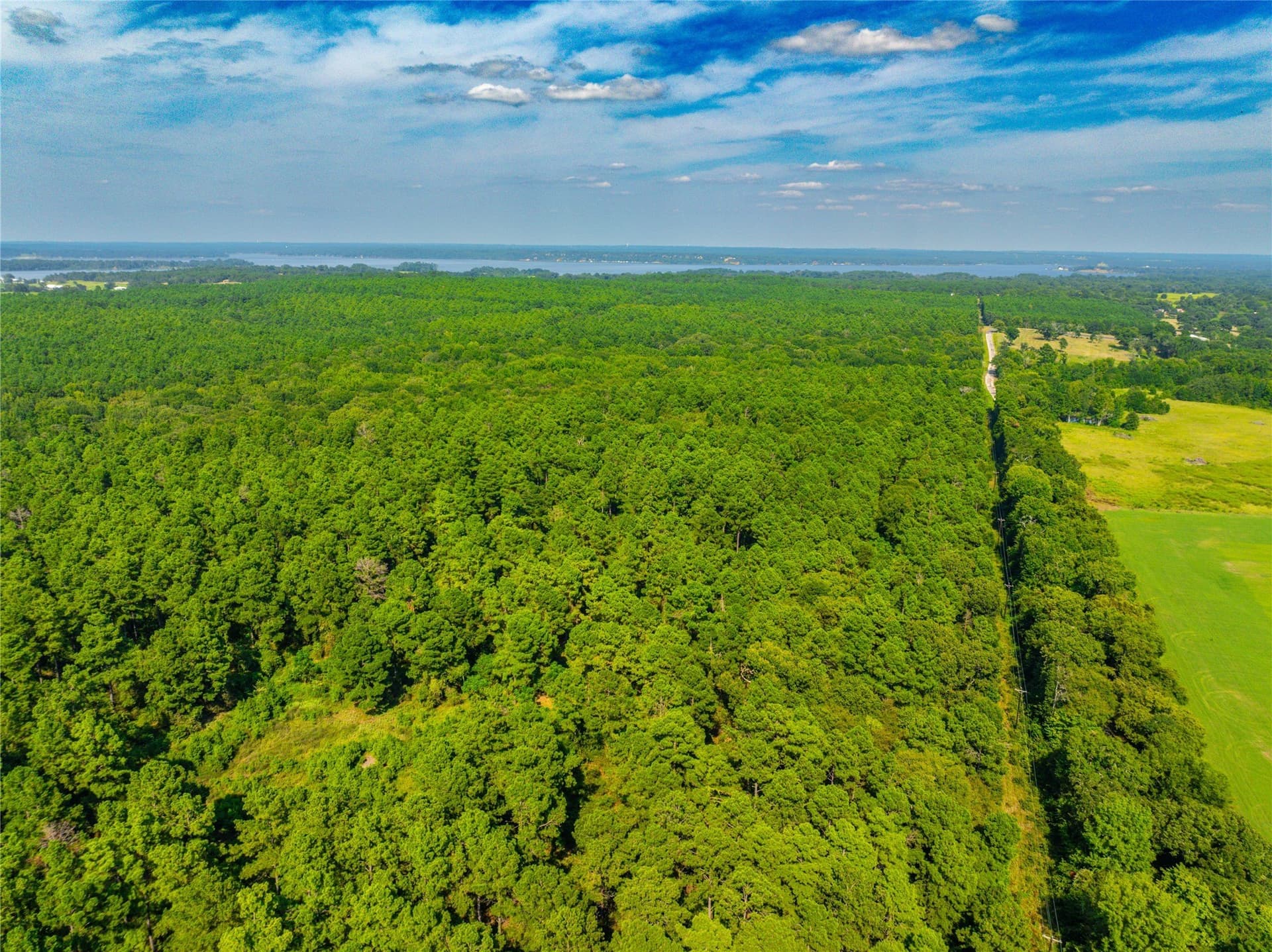 94.5 acres in Henderson County - photo 29