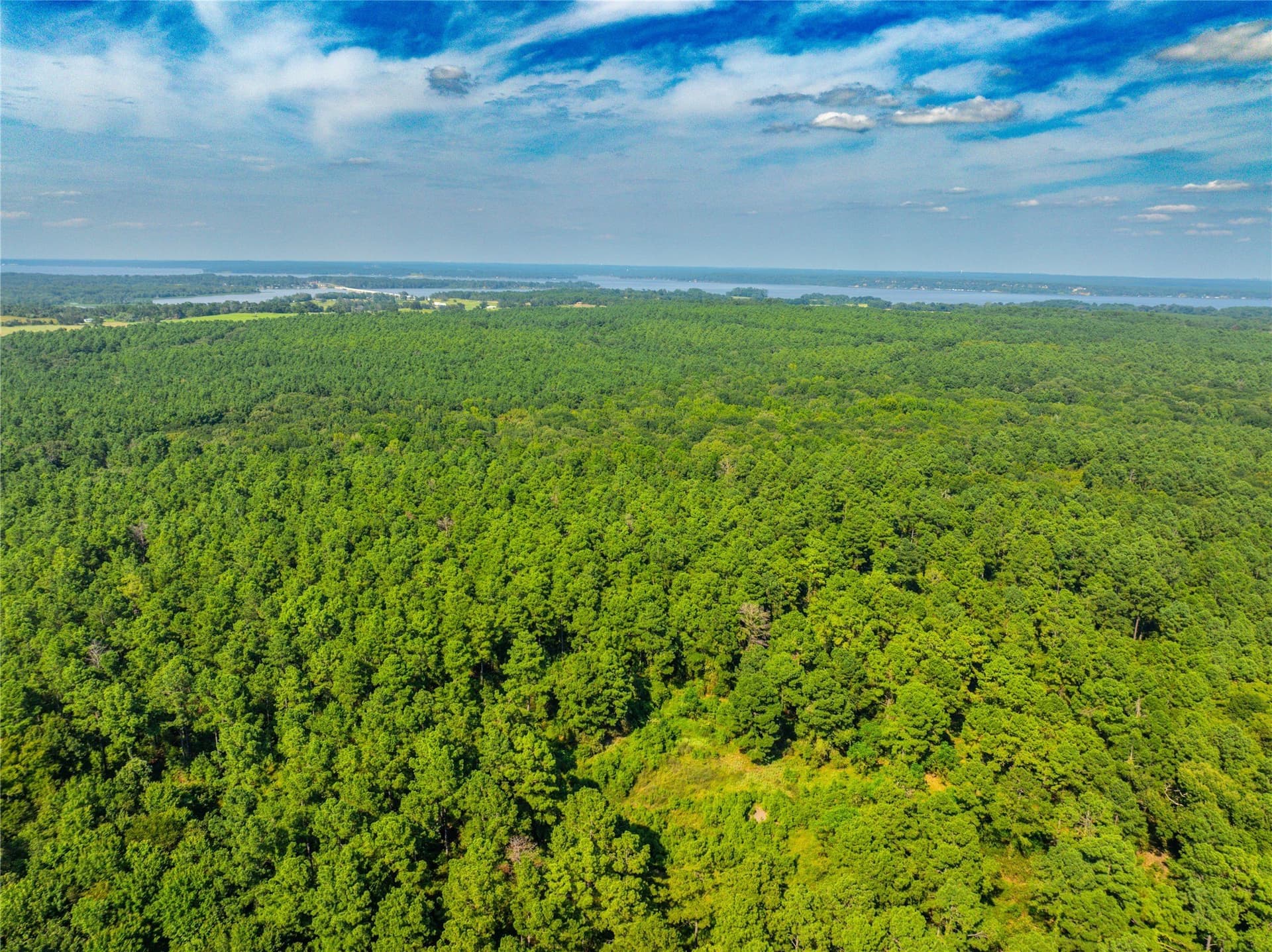 94.5 acres in Henderson County - photo 28