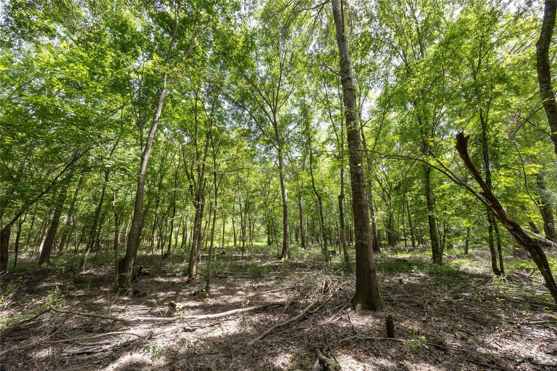 94.5 acres in Henderson County - photo 12