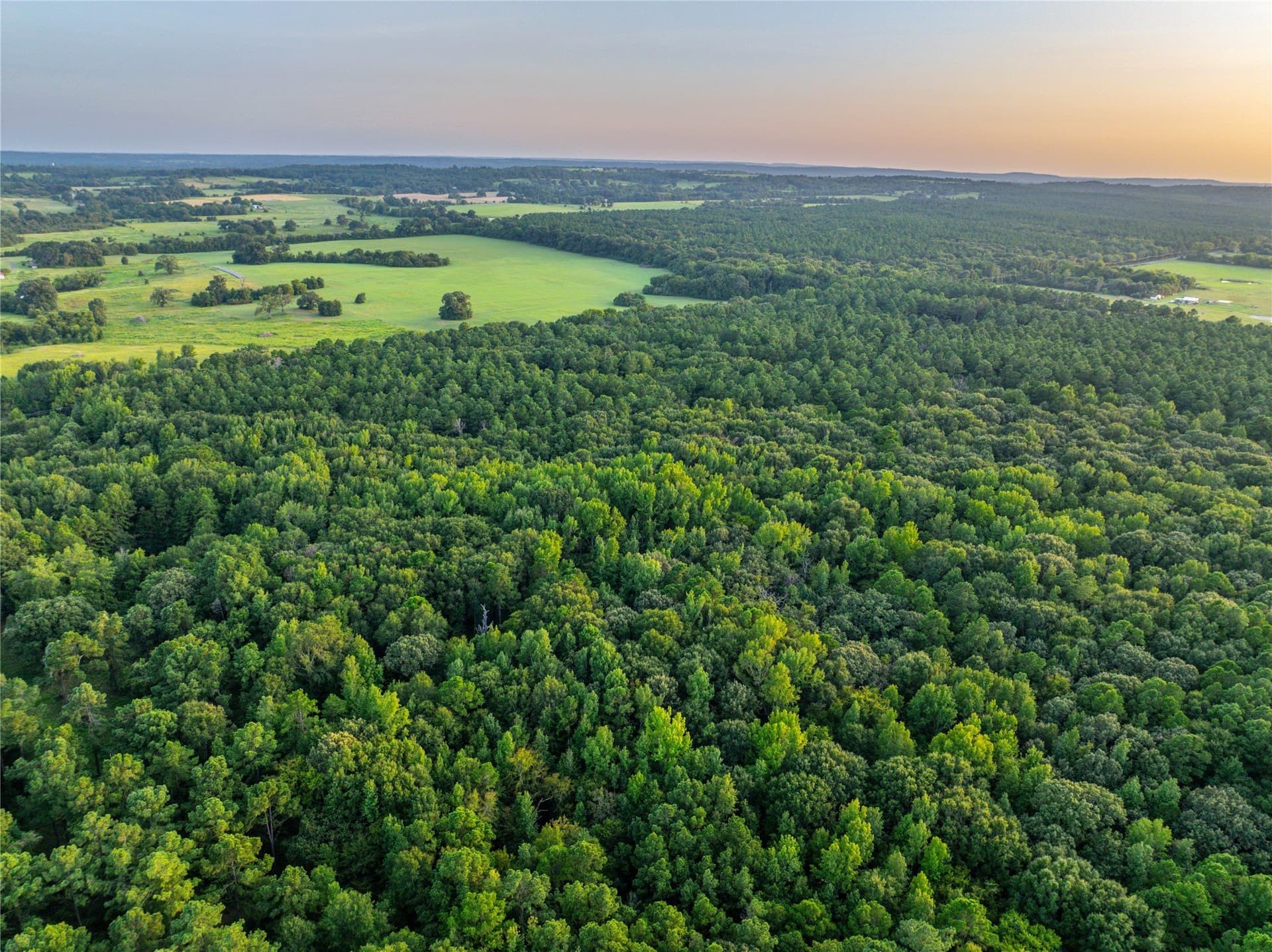 94.5 acres in Henderson County - photo 25