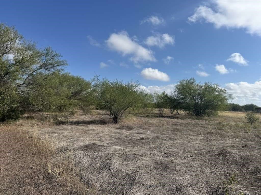 4.3 acres in San Patricio County gallery image 2