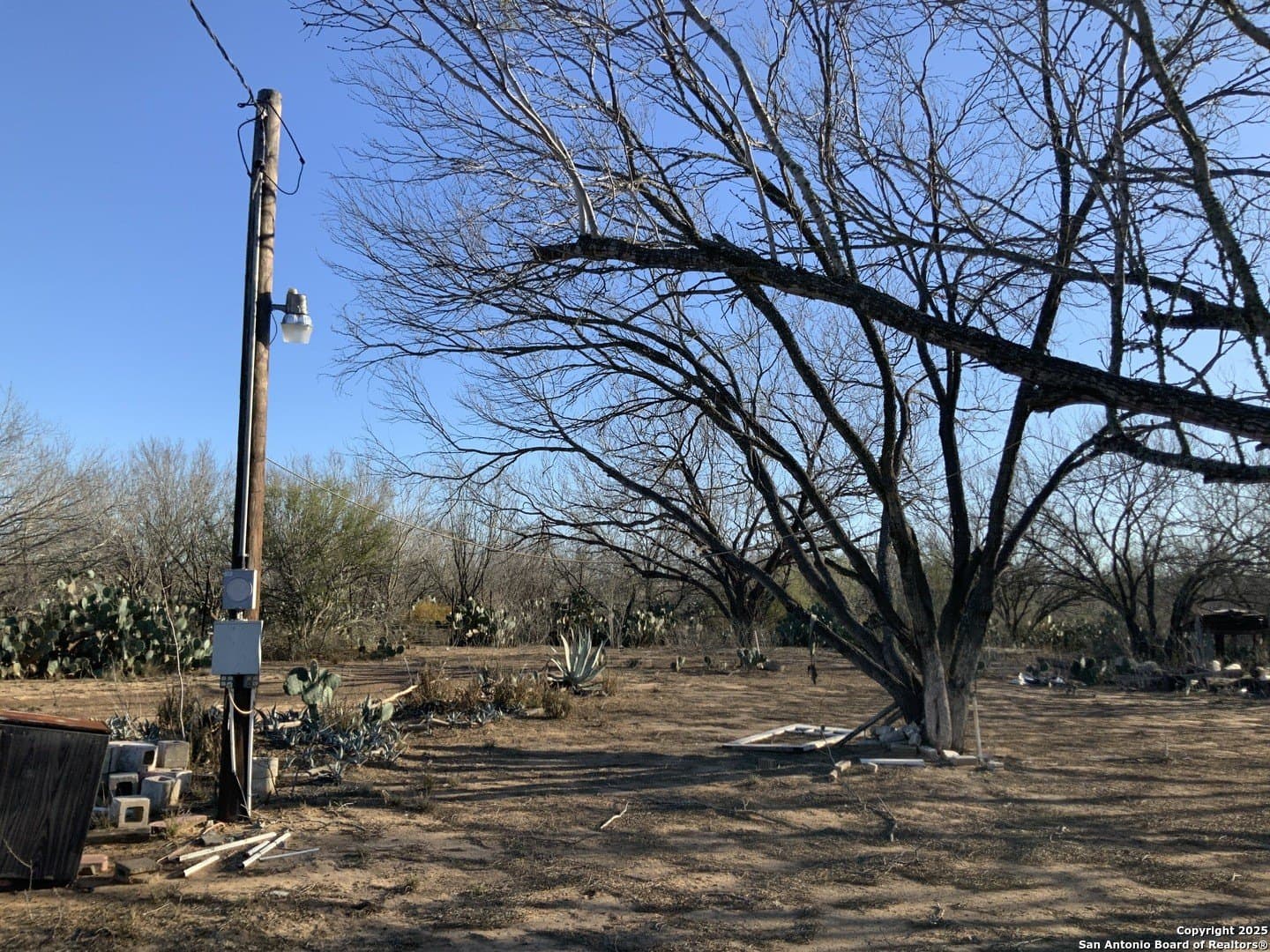 10.83 acres in Atascosa County - photo 30