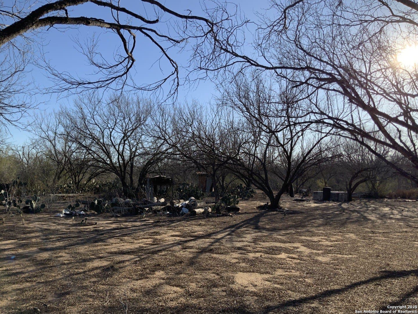 10.83 acres in Atascosa County - photo 28