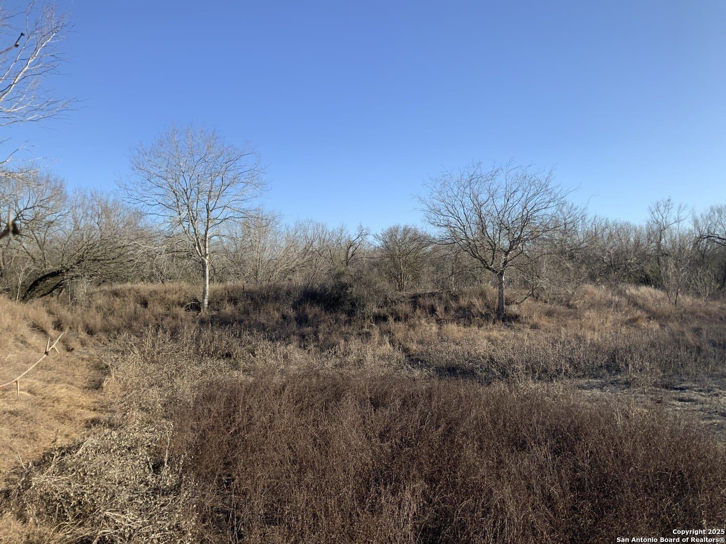 10.83 acres in Atascosa County - photo 34
