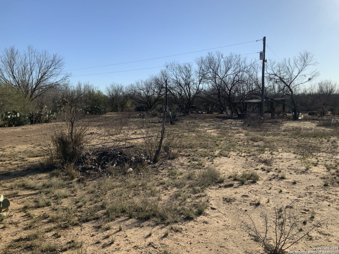 10.83 acres in Atascosa County - photo 16