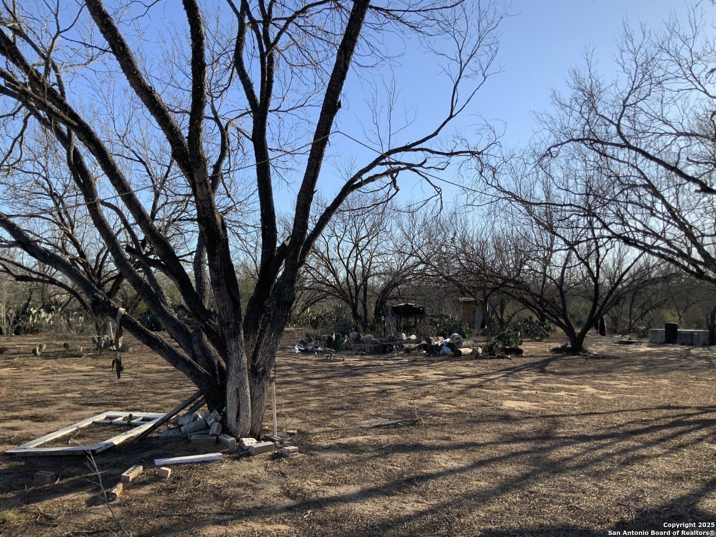 10.83 acres in Atascosa County - photo 31