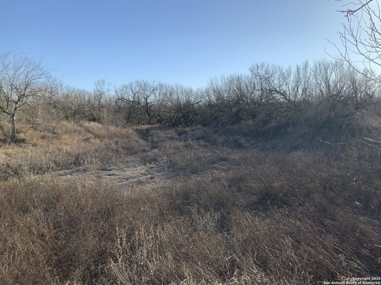 10.83 acres in Atascosa County - photo 35