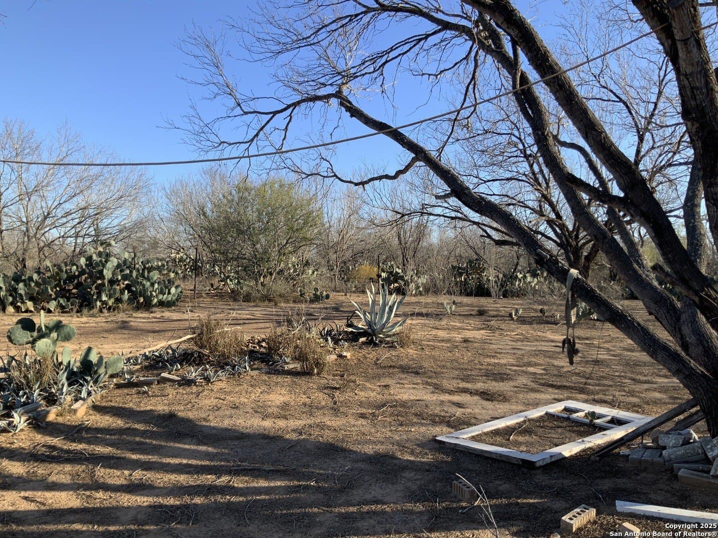 10.83 acres in Atascosa County - photo 29
