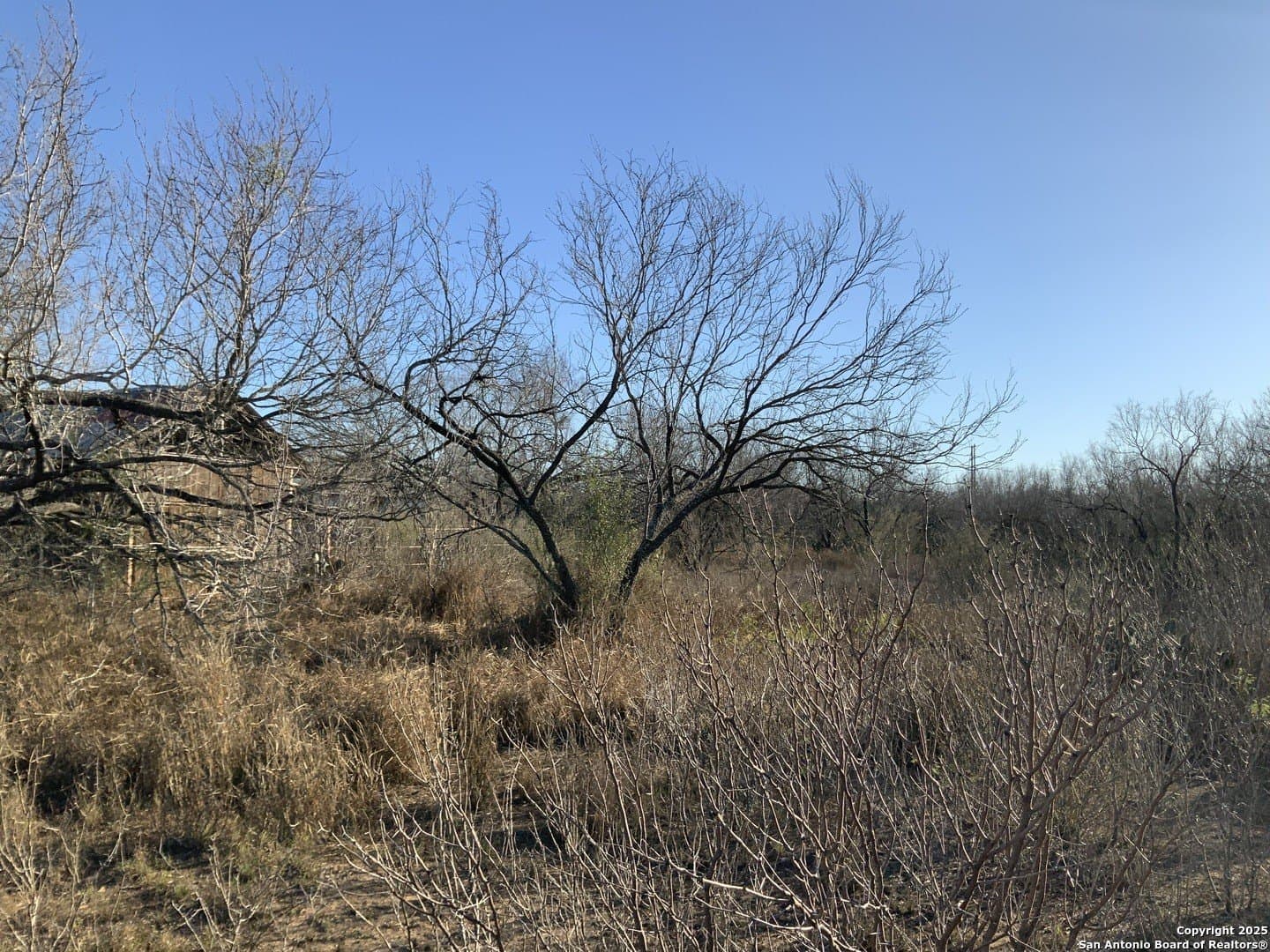 10.83 acres in Atascosa County - photo 32