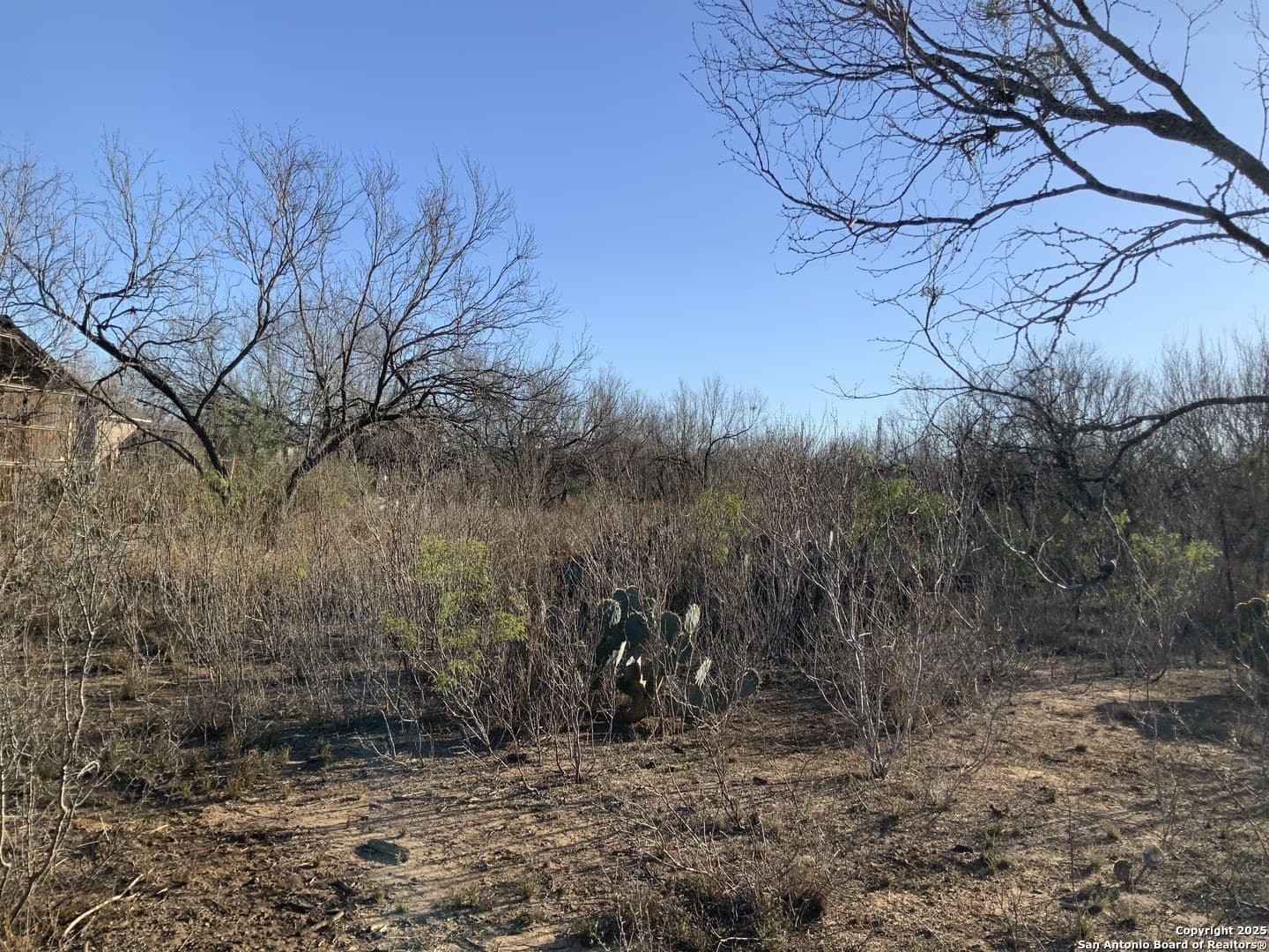 10.83 acres in Atascosa County - photo 33