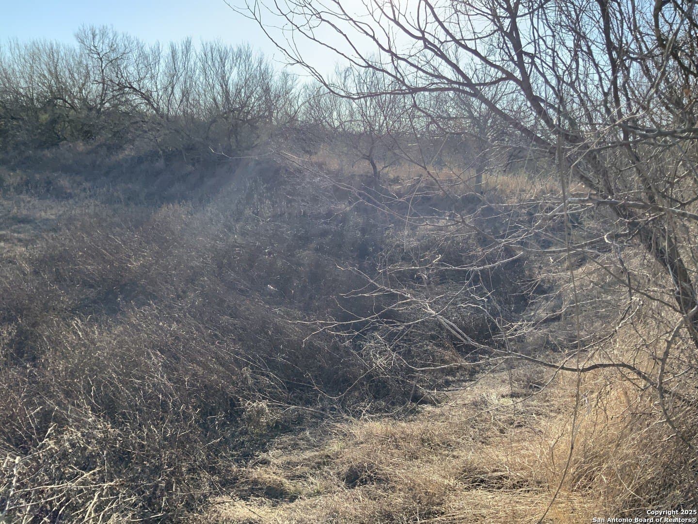 10.83 acres in Atascosa County - photo 36