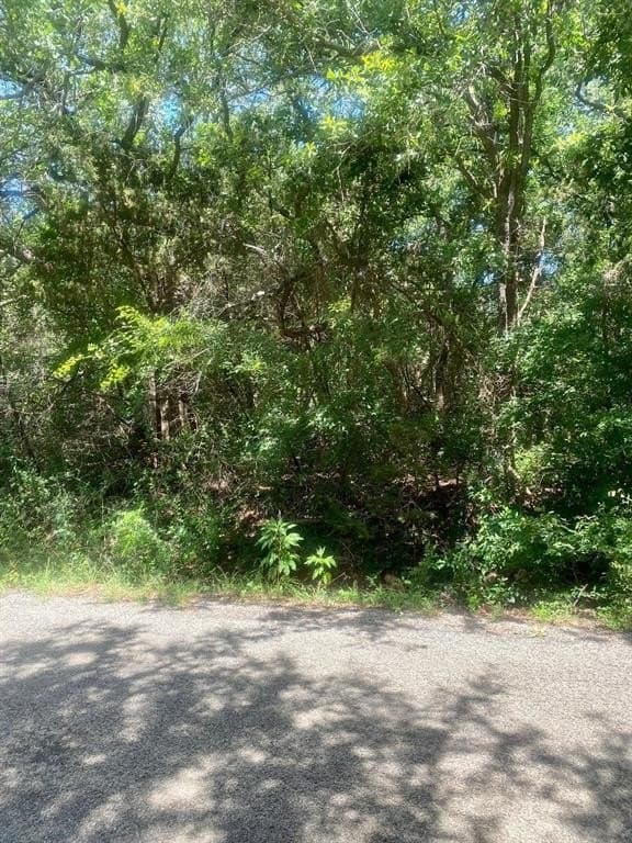 0.06 acres in Hood County gallery image 2