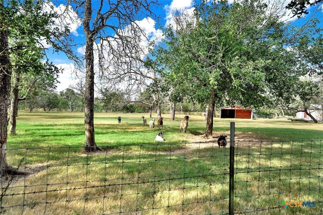 10.82 acres in Wilson County - photo 16