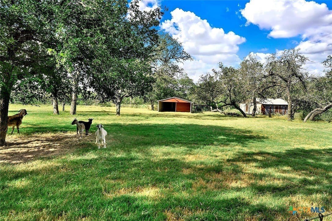 10.82 acres in Wilson County - photo 17